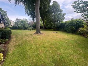 Photo 11- click for photo gallery